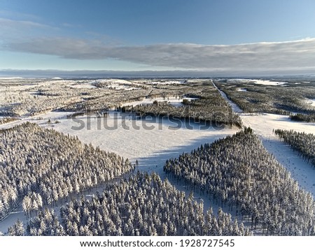 Drone shot of Swedish forest and road in winter.
