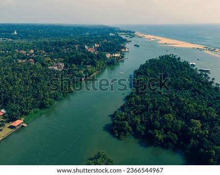 drone shot top angle view panoramic photo coconut farm trees coastal area coastline tropical country india Kerala natural scenery tourism wallpaper background tamilnadu turquoise blue water sunshine 