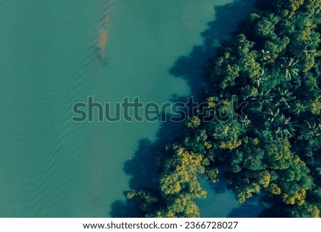 drone shot top angle view panoramic photo coconut farm trees coastal area coastline tropical country india Kerala natural scenery backwaters lagoon tamilnadu turquoise blue water sunset sea ocean