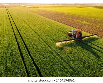 Drone shot of a tractor spraying in lush green wheat fields under the bright sun, showcasing modern agriculture