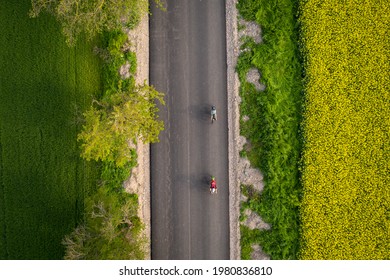 Drone shot of two cyclist and their shadows projecting on the road at sunset - Powered by Shutterstock