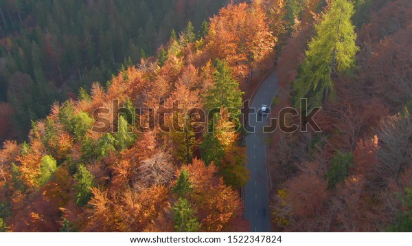 DRONE: Silver car drives through the autumn colored\
forest in Bohinj, Slovenia. Picturesque aerial view of a road\
leading a car through the forests changing their leaves in autumn.\
Scenic road trip.