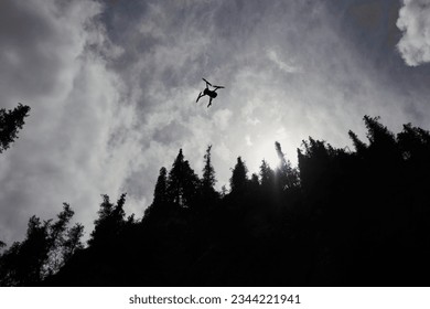 drone in the sky between the pines