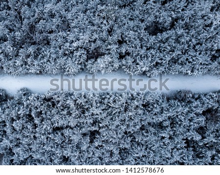 drone top down view of a forest with a snow covered path