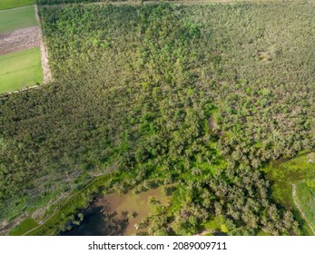 Drone top down view onto native bushland surrounding a wildlife reserve, and a corner of a lawn growing farm