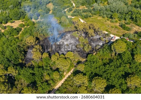 drone view capturing the full extent of a wildfire's burn scar. The desolate, ashen landscape is a stark reminder of nature's fragility, bordered by the surviving green forest and a rural road.