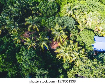 Drone View From Carribean Island