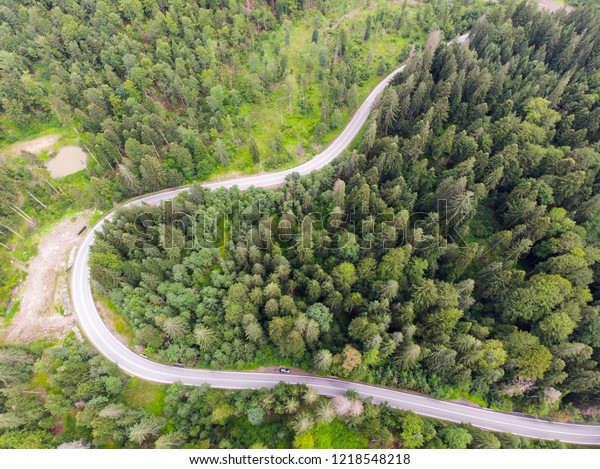 Drone view of a\
forest road in the summer