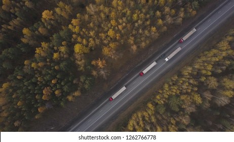 Drone view freight truck driving on suburban road on background autumn forest