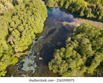 Drone View At The Fresh Water Source Of Saint Naum On Macedonia