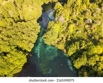 Drone View At The Fresh Water Source Of Saint Naum On Macedonia