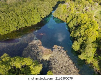 Drone View At The Fresh Water Source Of Saint Naum On Macedonia