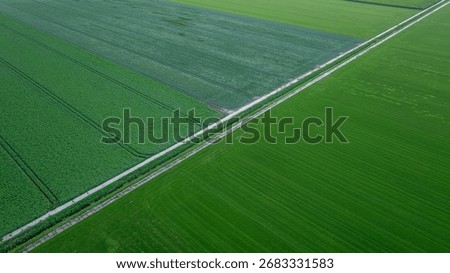 Drone view of green fields and road from above, typical agricultural summer landscape, Holland, Netherlands.