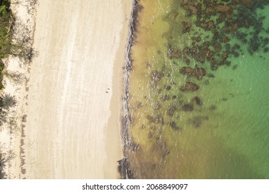 Drone View Myall Beach, Cape Tribulation, Australia