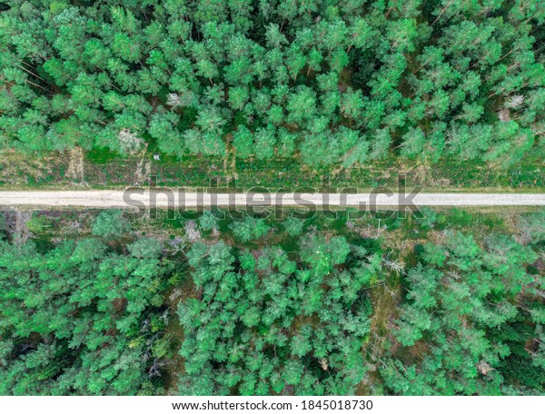 drone view of path in the forest, forest\
life and nature\
photography.