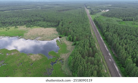 Drone View of Railroad Tracks in Forest - Powered by Shutterstock