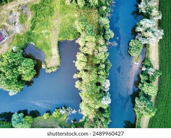 Drone view, river and forest
