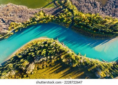A drone view of the river in the woods. An aerial view of an autumn forest. Winding river among the trees. Turquoise mountain water. Landscape with soft light before sunset. Alberta, Canada.