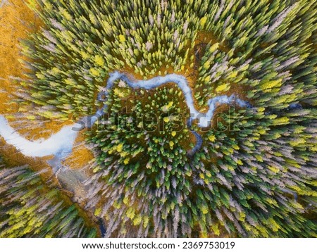 A drone view of the river in the woods. An aerial view of an autumn forest. Winding river among the trees. Turquoise mountain water. Landscape with soft light before sunset. 
