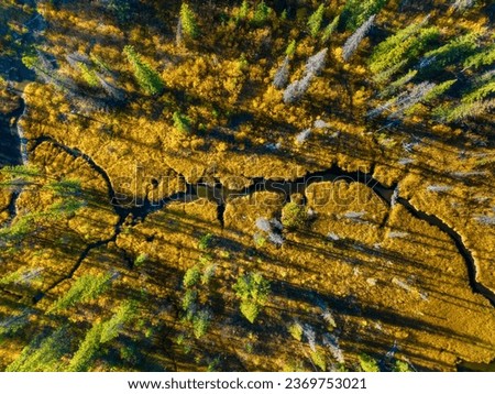 A drone view of the river in the woods. Drone view of the marsh. An aerial view of an autumn forest. Winding river among the trees. Landscape with soft light before sunset. 
