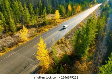 A drone view of a road in the middle of a forest. A car on the road. A straight road among the trees. Autumn forest. A straight highway. Autumn time. - Shutterstock ID 2246899221