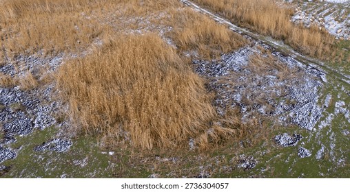 Drone view of a rural path cutting through dry reed thickets and snowy patches on a grassy field showing the transition between autumn and winter seasons