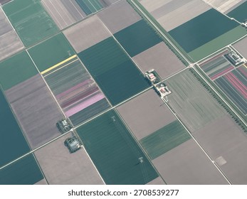 Drone view showcasing vibrant patterned fields in the Netherlands during daylight highlighting agricultural diversity and layout.