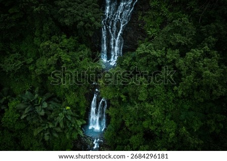 Drone view of a waterfall flowing through lush green forest, Aerial shot of Kappimala waterfall from Kannur Kerala