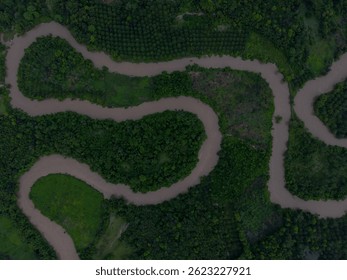 
Drone view of winding river in the middle of green forest there are oil palm plantations and rubber plantations Indonesia