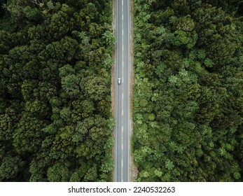 drone view zenithal shot of the straight road with a car going through the dense lush forest next to the green trees, rotorua, new zealand - Shutterstock ID 2240532263