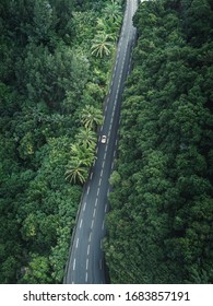 Drone/Aerial Shot Of A Jungle Road With Lonely Car On La Réunion