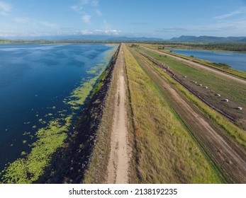 Droning along a dam wall with aquatic plants edging the water and a pond containment on the other side. Kinchant Dam, Mackay Queensland, Australia.