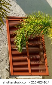 Drooping Leafy Branch Of Tropical Tree (unidentified Species) Touching A Dark Orange Hurricane Shutter, Slightly Open, On A Sunny Morning On A Barrier Island Along The Gulf Coast Of Florida