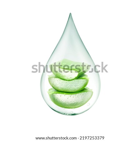 Drop of Aloe vera gel with aloe vera sliced inside  isolated on white background. Clipping path.