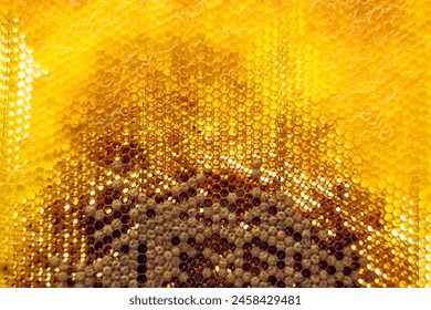 Drop of bee honey drip from hexagonal honeycombs filled with golden nectar, honeycombs summer composition consisting of drop natural honey, drip on wax frame bee, drop of bee honey drip in honeycombs