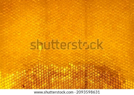 Drop of bee honey drip from hexagonal honeycombs filled with golden nectar, honeycombs summer composition consisting of drop natural honey, drip on wax frame bee, drop of bee honey drip in honeycombs