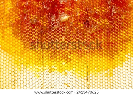 Drop of bee honey drip from hexagonal honeycombs filled with golden nectar, honeycombs summer composition consisting of drop natural honey, drip on wax frame bee, drop of bee honey drip in honeycombs