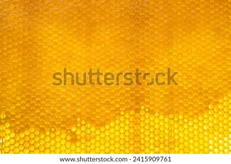 Drop of bee honey drip from hexagonal honeycombs filled with golden nectar, honeycombs summer composition consisting of drop natural honey, drip on wax frame bee, drop of bee honey drip in honeycombs
