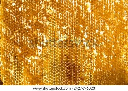 Drop of bee honey drip from hexagonal honeycombs filled with golden nectar, honeycombs summer composition consisting of drop natural honey, drip on wax frame bee, drop of bee honey drip in honeycombs