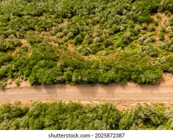 Drop down view of dirt road running through lush vegetation. - Powered by Shutterstock