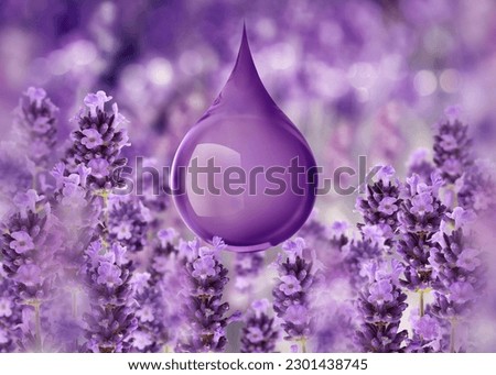 drop of lavender serum oil