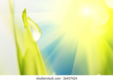 Drop on grass