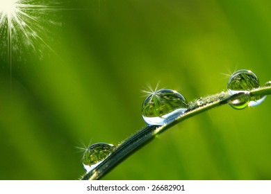  drop on grass