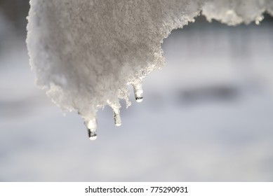 A Drop On The Melting Icicle