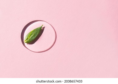 A drop of transparent cosmetic gel with a natural plant inside on a powdery background. Top view, place for text.