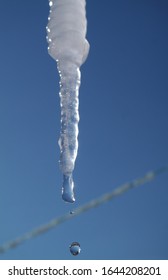 Drop Of Water On An Icicle