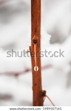 Similar – Image, Stock Photo touché Environment Nature