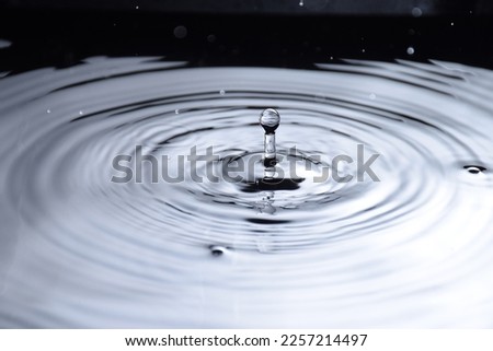drop of water that splashes on the surface and forms waves in concentric circles. freezing effect. Black. Gray. White.