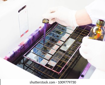 Droplet Crystralviolet In Gram Stain Step