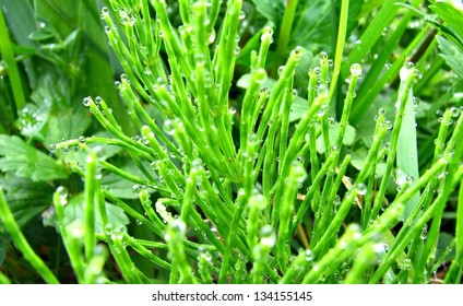 Droplets
